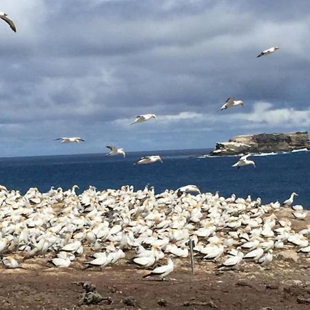 ポートランド Cape Nelson Lighthouseヴィラ エクステリア 写真