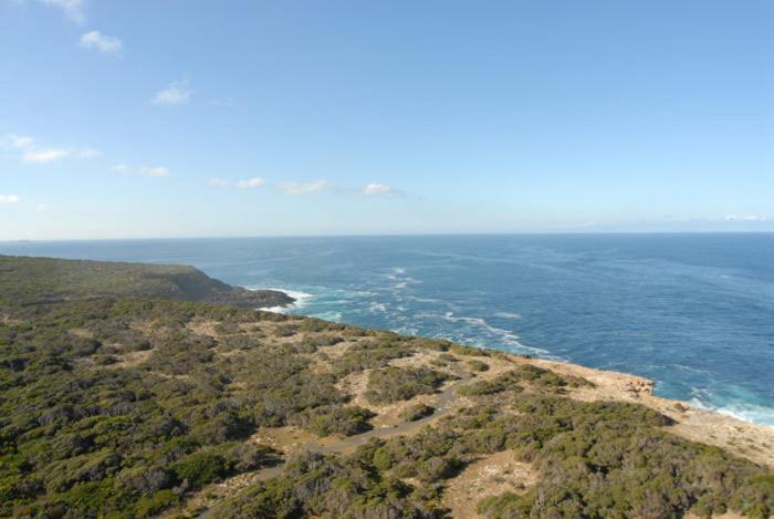 ポートランド Cape Nelson Lighthouseヴィラ エクステリア 写真